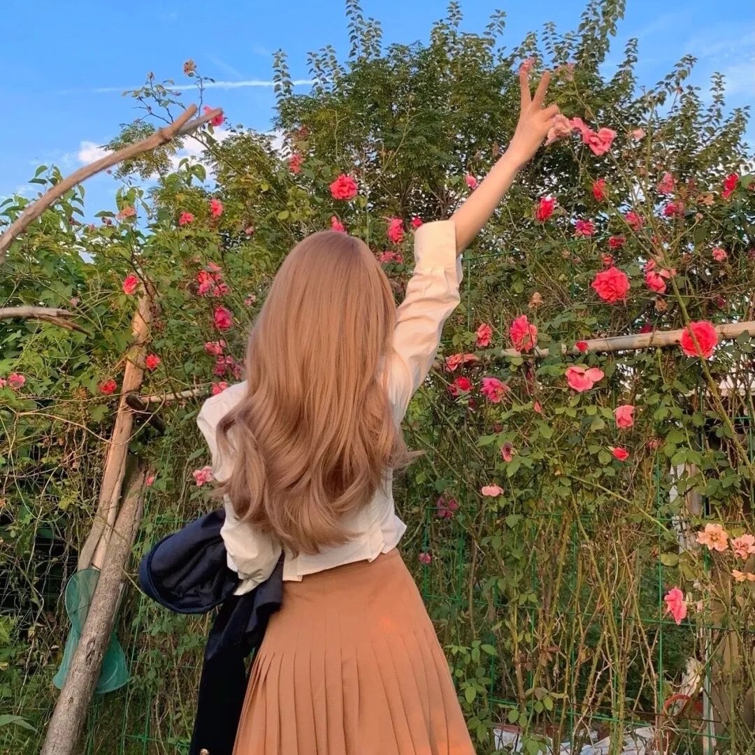 芭比与姐妹之赛马记